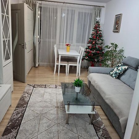 Apartament Ultra Central Marly 古拉哈莫卢洛伊 外观 照片