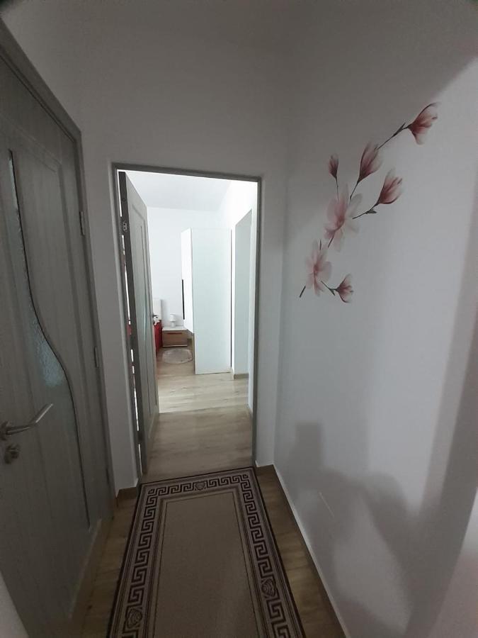 Apartament Ultra Central Marly 古拉哈莫卢洛伊 外观 照片